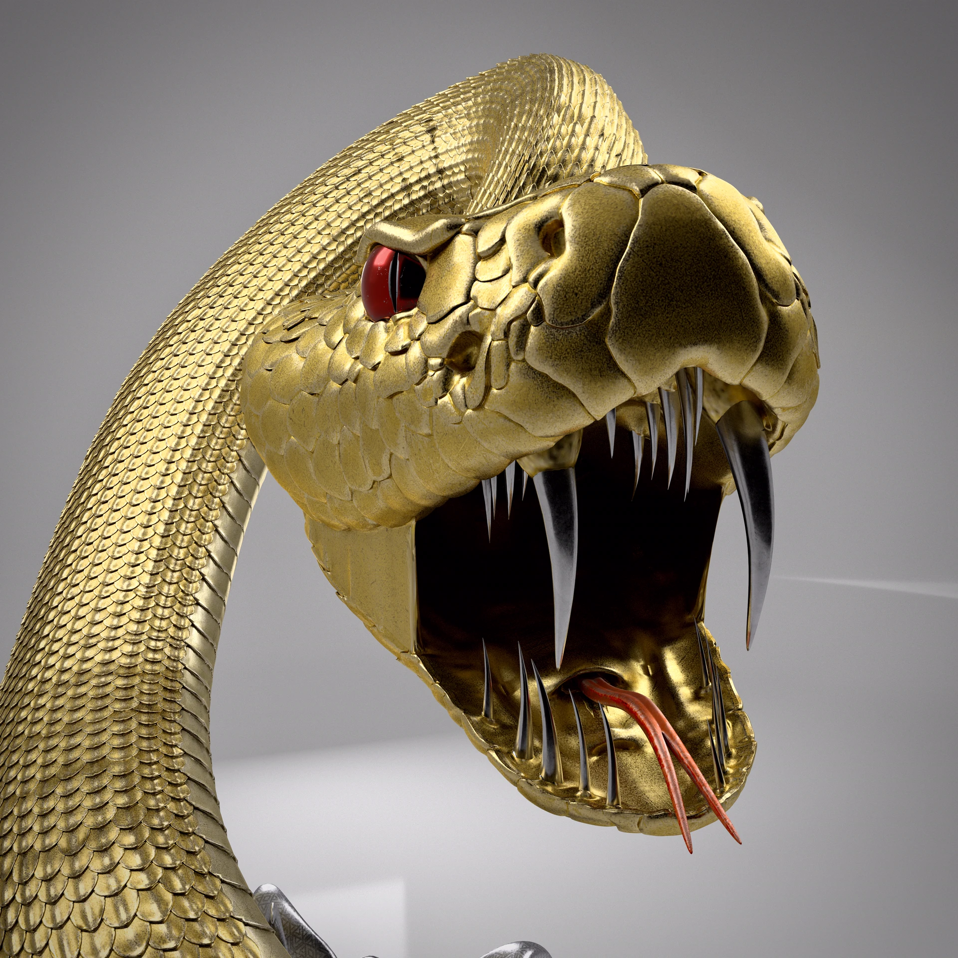 Randy Orton Snakes — Project presentation, image 2