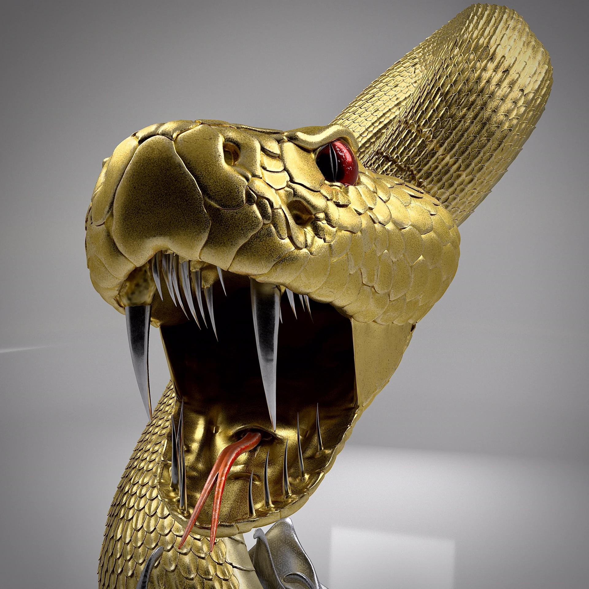 Randy Orton Snakes — Project presentation, image 3